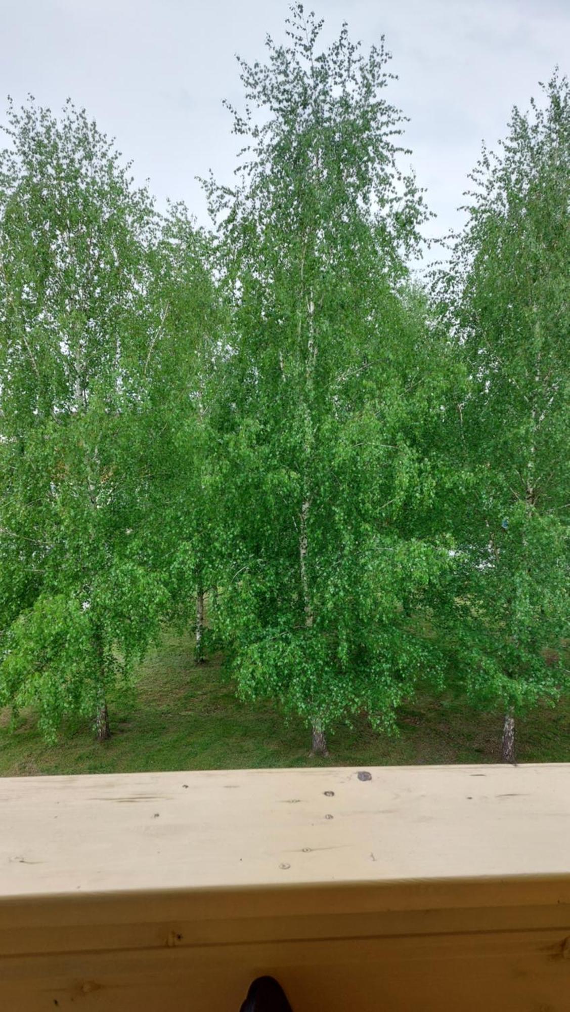 Apartamentai Gertruda Druskininkai Exteriör bild
